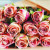 Розы R426 (Кр) ФП 